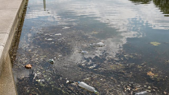 Reflecting Pool Underfire: Environmental Concerns and Vandalism Allegations | ga