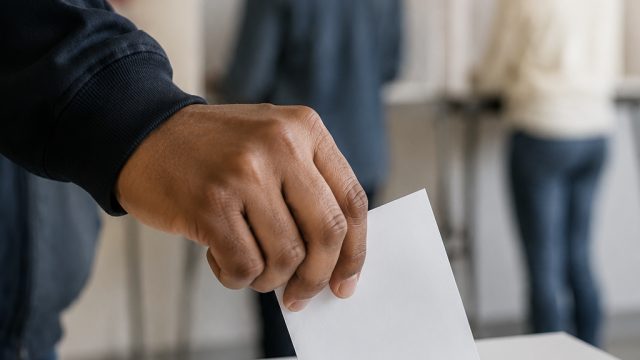 Insights from the 2026 Primary Election: What Voters Need to Know