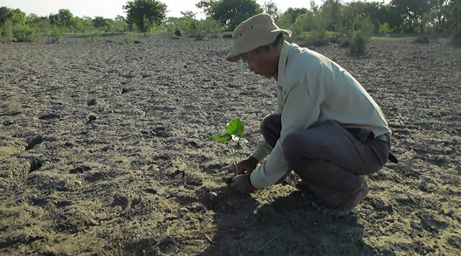 An Indian islander has been planting trees for 35 years, turning 550 hectares of