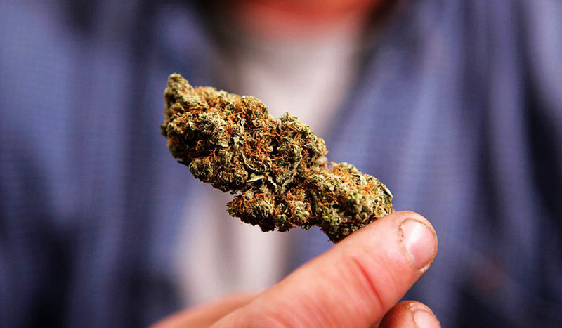 Study shows cannabis may be effective in treating cancer