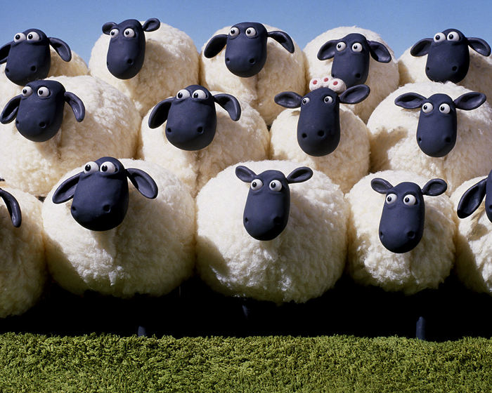 The top 10 smartest animals besides humans, crows can also be on the list--top emoticon