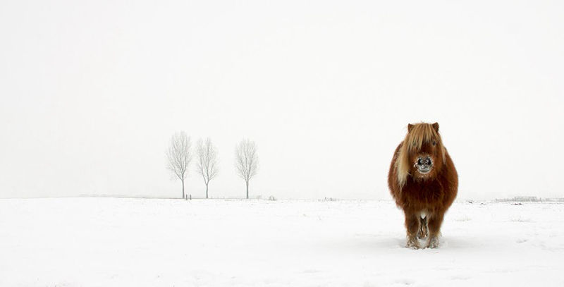 10 world-class photography competition-winning works that will give you insights into nature, society and life - top emoticons