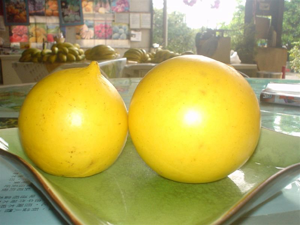 20 unusual but delicious weird fruits, the African horned melon is definitely the pursuit of foodies--top emoticon